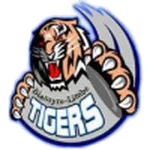 Mighty Tigers